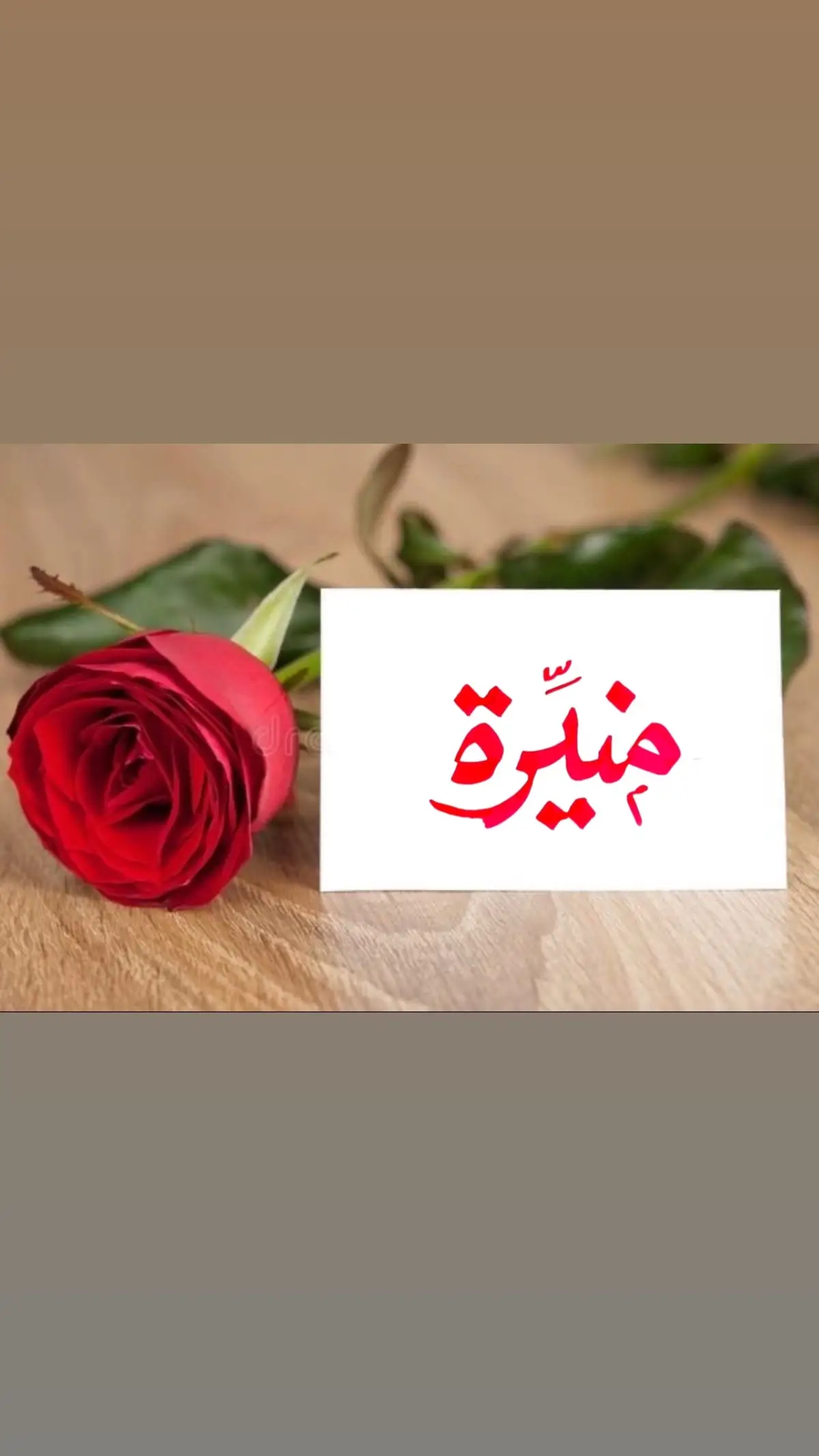 #منيرة #منيره #منور #ميمي #منّور #خطي #خطاط #اكسبلورر #اكسبلووووورررر #الشعب_الصيني_ماله_حل😂😂 #إكسبلور👌 #اكسبلور #explore #explore #الترند #الترند_الجديد #ترند #trending #tiktok #خطاطين #خطاطين_مبدعين #fyp #fypシ 