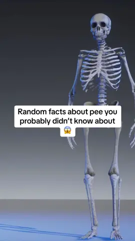 The more you know ! #bodyfacts #facts #humanbodyfacts #fypシ 