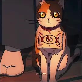 Chachamaru so cute😍 #chachamaru #chachamuroedit #chachamarukny #demonslayer #tamayo #yushiro #tamayodemonslayer #fyp #kny