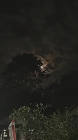 malam yg tenang#fypシ #sadvibes #langitmalamvibes 