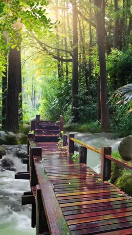 #naturebeauty #nicescenery #naturescenery #naturelover #livewallpaper #videobackground #relaxing #freetouse #amazingview #stunning #trending #viraltiktok #foryoupage #foryou 