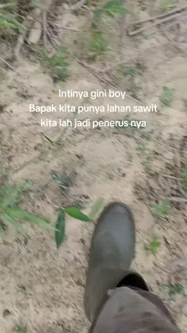 jadi siapa lgi klok bukan anak nya masak tetangga upp🤭🤤#storysawit🌴🌴 #lahansawit #jambipride #bosmuda #tukangpanensawit #petanimuda #lahanjambi #petaniindonesia🇮🇩🇮🇩🇮🇩🌿🌿 #pemanensawit #kurirsawit #kurirsawit #kulisawit #bossawit #pemayongan #cewektani 