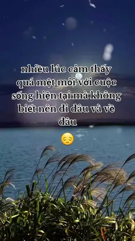 cuộc sống #Master2023byTikTok #xuhuong #xuhuongtiktok #xuhuong2023 #buồn #buon #buon_tam_trang💔 #buồn_tâm_trạng #tamtrang #tamtrangbuon #story #status 