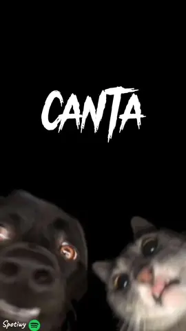 canta sin trabarte nivel facil😊  🎧Morena-Tornillo🎧 #tornillo #morenatornillo❤️ #tornillomorena #vamosporlos100k #estados #spotiwy #fypシ 