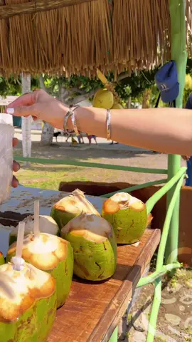 Cada 2 de septiembre el mundo celebra el #DíadelCoco, fecha propicia para exaltar la importancia de esta versátil fruta para la humanidad, resaltando sus usos y beneficios. El coco es un importante rubro que se cultiva en #Venezuela, gracias a su calidad se exportan sus productos derivados.  En Venezuela el clima tropical favorece el cultivo de este delicioso fruto que nos deleita con una infinita variedad de productos derivados.  ¿Qué esperas para probar una deliciosa conserva de coco, una refrescante cocada o el inigualable arroz con coco? #marcapaisvenezuela #VE #Falcon 
