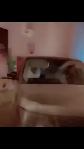 #سلطان_الهاجري 