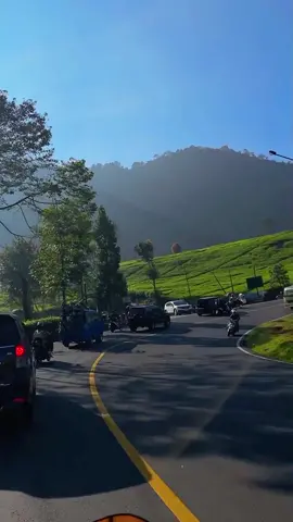 punya moment indah apa di jalan ini?🤪 #fyp #fypシ #puncak #puncakbogor #bogor #warpat #xyzbca #PlacesToVisit #placetogo #kebunteh #healing 