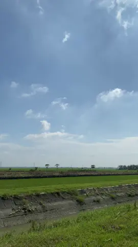 #liriklagu #lirikestetik #laguviral #lirik #lirics_music #liriklaguindonesia #lirikterjemahan #demak #liriklagujawa #lagujawahits #lagujawa #jawapride #jawapride🔥 #jawapridee #wongsepele #happyasmara #happyasmara_official #happyasmarawongsepele #mlakuwekadangkesandung #fypシ゚viral 