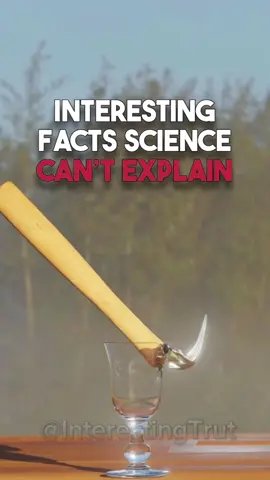 ⚠️⚠️ Interesting facts science can’t explain! 🧠💡 #facts #randomfacts #LearnOnTikTok #factsyoudidntknow #Science 