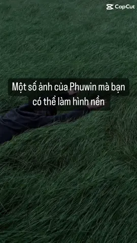 Vibe boyfriend material #xh #xuhuong #bl #blthai #blthaiseries #pondphuwin #phuwintang #gmmtv #xuhuongtiktok #xuhuongtiktok2023 