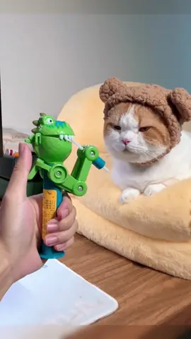 Kitten get angry too😂#cat #fyp #funny #cutecat #catfunny #catsoftiktok 