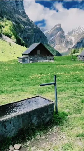 كلامهم بيسوى بحر ... بس فعلهم ماعبى كاسة 😂😂😂 #schweiz🇨🇭 #afrin❤️ #walensee #lebanon #iraq #lebanon #aleppo #kurdistan #schaffhausen #bern #wil #zürich #stgallen #syria 