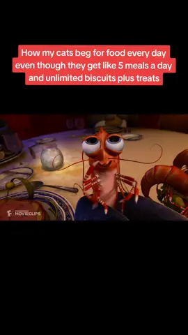Spoiled little cuties 🥰 #cats #mysisterhadababy #shrimp #catfood #cattreats #funnycats 