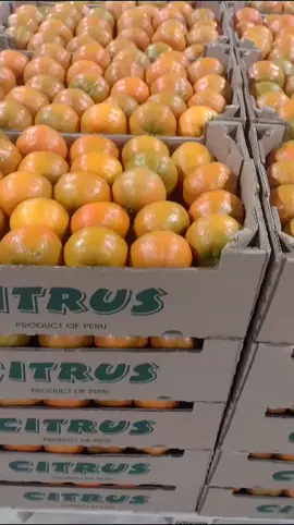 #paking #mandarina🍊 #peru🇵🇪 #destinoestadosunidos #contenedoresmaritimos 