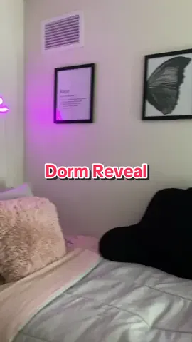 Dorm Reveal #dormlife #kayadestiny #georgiastateuniversity #downtownatlanta #gsu #statenotsouthern💙🐾 #atl #dormtransition #blackgirldorm #pinkandgrey #shareddorm #vanity #piedmontcentral #piedmontnorth #freshman #freshmanyearofcollege #freshmandorm #freshmandormtour #dormdecor 