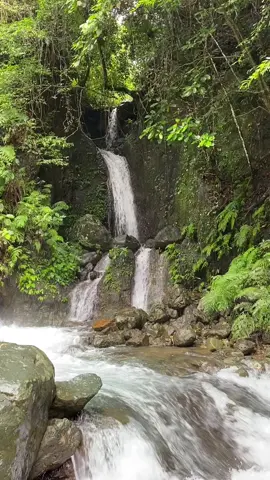 I found Paraiso 🥺🌴🍀  📍@Camp Paraiso  #FYP #bongabonnuevaecija #campparaiso #nuevaecija 