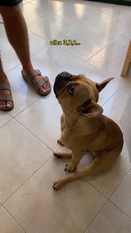 Não podíamos ter uma casa inteligente sem os produtos essenciais para os nossos melhores amigos 🐕🐈‍⬛ Hoje o @Joao Jonas apresenta-te o dispensador automático de comida, Xiaomi Smart Pet Food Feeder, e a fonte automática de água, Xiaomi Smart Pet Fountain ✨  Quem quer uma? #Xiaomi 