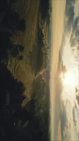 #mini3pro #cinematic #landscape #dji #dronevideo #forest #morning #sunrise #clouds #chillout 