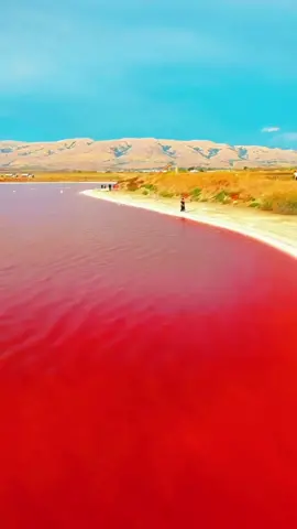 The original red sea really exists such a shocking scene you will be the first to share with who #…..unfold#fyp 