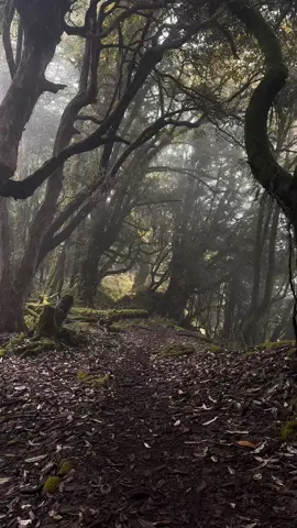 Kori trek’- one of the terrifying solo treks of nepal 