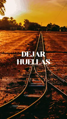 La única forma de hacer un gran trabajo es amar lo que haces. Primero encuentra aquello en lo que eres bueno o que te apasiona. Después hazte el mejor. #parati #fyp #viral #inspo #disciplina #filosofia #mentalidad #desarrollopersonal #crecimientopersonal #inspiracion #frases #exito #emprendedores #amor #motivation #inspiration #sueños #felicidad #tiktok #you #shorts #motivacion
