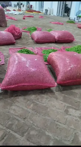 Armada #mrapitranscabe ..Muat Di Gudang cabe #skrn21xpdc #gumilangrawit🌶️ #bondowoso 