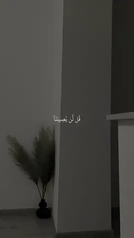 تدبروا الآيات🤍#قران #احمد_العجمي #قران_صلي_علي_النبي 