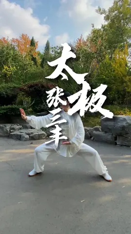 福自我求，命自我造，张三丰传世太极-2#太极张三丰 #太极宗师 #太极拳