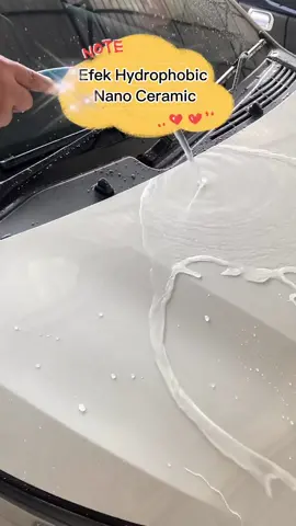 #efekdauntalas #antiair #nanocermaiccoating 