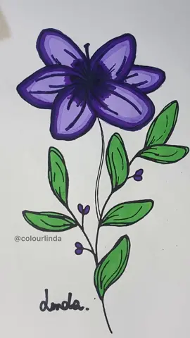 Vamos colorir comigo 🪻 #asmr #relaxingasmr #relaxingvideos #satisfyingvideo #coloringbook #colors #coloring #coloringtutorial #livrodecolorir #colorindo #desenho #doodle #drawing 