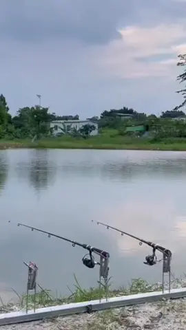 Chống gác cần giật tự động #cancauca #cauca #phaocaucachep #caulancer #cancaumay #fishing #xuhuong #LearnOnTikTok 