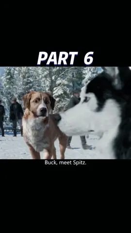 Part 6  The call of the wild #foryou #dog #thecallofthewild #dogs 