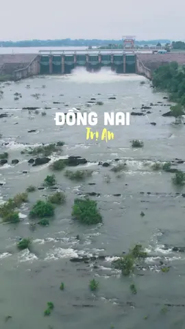 Mùa mưa bão sắp đến rồi ư 🥺 