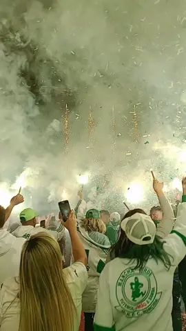 Música Mancha Verde #palmeiras #primeirocampeaomundial #palestraitalia #sep #manchaverde #verdao #maiorcampeaodobrasil #musicapalmeiras #torcidas #torcidapalmeiras #avantipalestra #verdao 