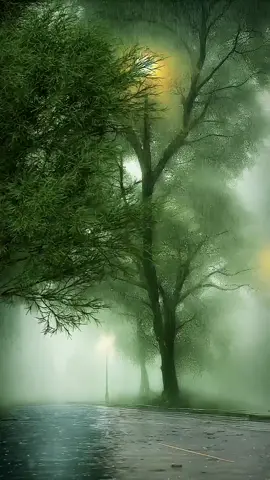 #rain #nicescenery #naturescenery #naturebeauty #naturelover #niceviews #livewallpaper #videobackground #amazingview #stunning #relaxing #trending #viraltiktok #foryoupage #foryou 