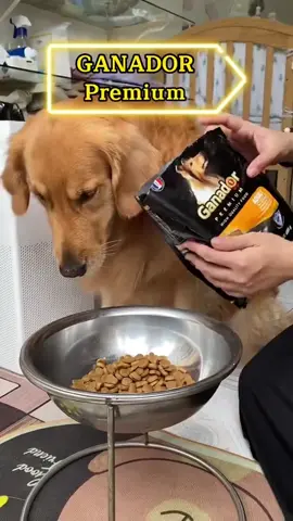 Thức ăn cho cún lớn - cún nhỏ hiệu Ganador #thucung🔔 #ganador #petfood #TikTokPromote #freeshipping 