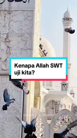 setiap ujian pasti ada hikmahnya, sabar dan bersangka baik dengan ujiannya #ustazwadiannuar #ceramahislam #ujianhidup #dugaanhidup #allahujisebaballahsayang #dakwah 