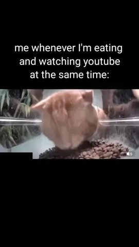 #relatable #meme #eating #cat #animal #fyp #foryou #foryoupage #viral #trend 