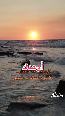 #اوعدك_وانت_بعيد_تفضل_حبيبي❤️  #اوعدك #تصويري📸 #وائل_جسار 