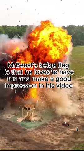 Whats your beige flag? 😳 #mrbeast #beigeflag #quote #inspirational #comedy