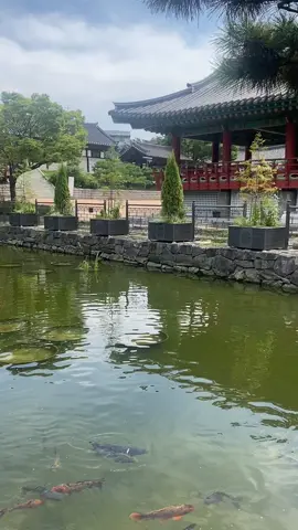 📍Namsangol Hanok Village in Seoul🇰🇷 Hanok-este o casă tradițional Coreeană. ⛩Când vizitați Coreea va recomand să mergeți la acest sat hanok pentru a vedea această arhitectură tradițională unică. De aici se vede si Turnul Namsan. Vibe-ul este fabulos.🫶🏼  #namsangolhanokvillage #koreatiktok #koreatravel #namsangol #hanokvillage #hanok #foryou #seoulvibe #seoulkorea🇰🇷 #kdramakorean #viral #viewkorea #