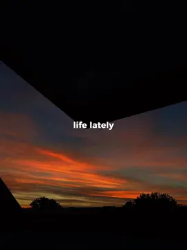 Life lately❤️‍🔥 #CapCut #summerrecap #travellifestyle #videotutorial #travel #travelvideo #travelvideotutorial #ccreator #videocreator #capcut_edit #capcuttutorial #capcuteffect 
