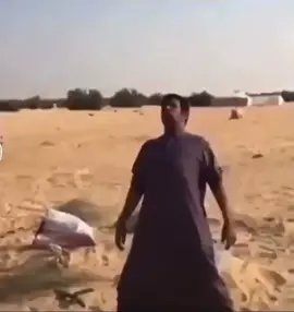 #جمل #هايج 