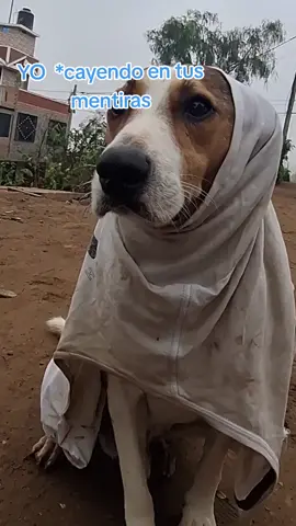 no caramelo 🍬 🙈 🙊 ☹️ @carameloeldulce @carameloeldulce3 @carameloeldulce5 