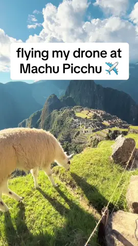 Im pretty sure its not legal but i had a great time flying the drone 😂  - #dji #drone #machupicchu #peru #aerial #fpv #travel #trending 