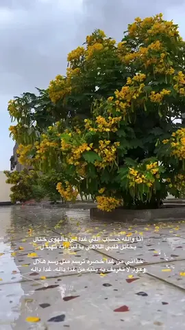 #المدينه_المنوره #تعز_عدن_اب_ذمار_حجة_حضرموت_صعده #صفوان_العدلاني 