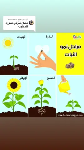 الرد على @love-me-r 