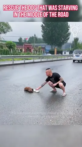 Rescue the dog that was starving in the middle of the road #dogrescue #rescuedogs #rescue #animalrescue #dogsoftiktok  #straydog  #animals #goodnewsmovement #viral #viralvideo #cute #pup #dog #pets  #doglover #foryou #fyp #viralvideo 