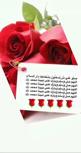 #اكسبلور #🌷🌷🌷🌷  #🌷🌷🌷🌷 #