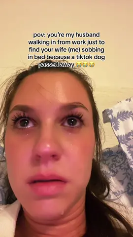 tiktok makes me cry every day #fyp #tiktokanimals 